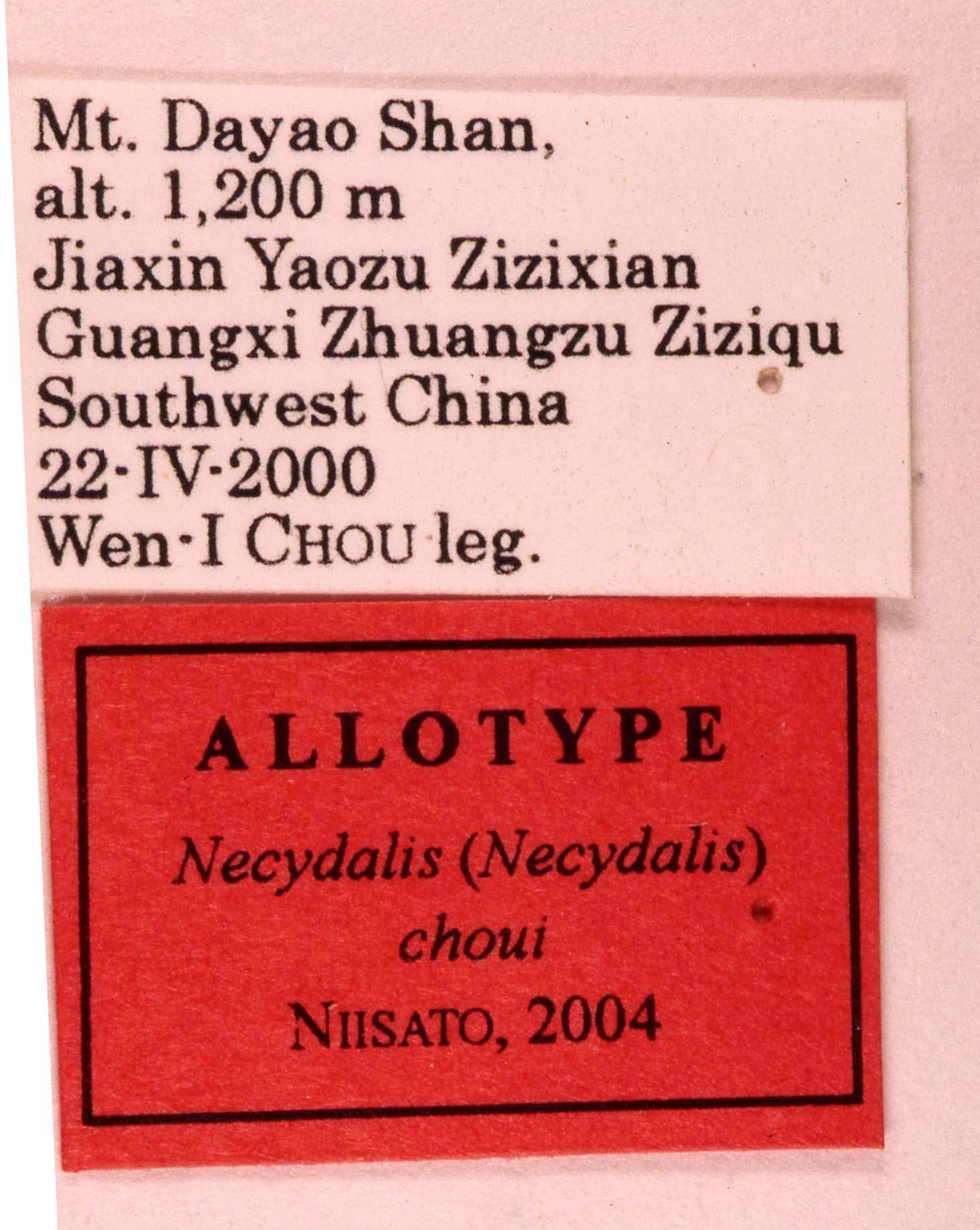 «ö¦¹¦b·sµøµ¡ÂsÄý¹Ï¤ù