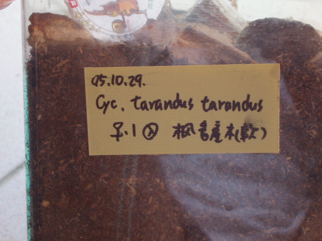 按此在新視窗瀏覽圖片