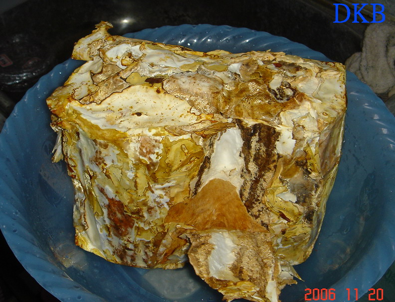 «ö¦¹¦b·sµøµ¡ÂsÄý¹Ï¤ù