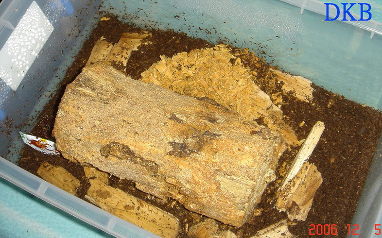 «ö¦¹¦b·sµøµ¡ÂsÄý¹Ï¤ù