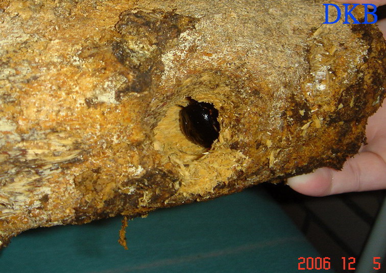 «ö¦¹¦b·sµøµ¡ÂsÄý¹Ï¤ù