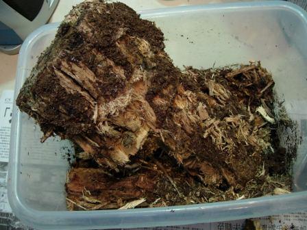 «ö¦¹¦b·sµøµ¡ÂsÄý¹Ï¤ù