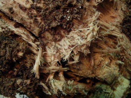 «ö¦¹¦b·sµøµ¡ÂsÄý¹Ï¤ù