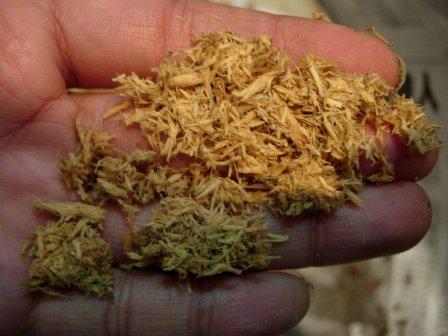 «ö¦¹¦b·sµøµ¡ÂsÄý¹Ï¤ù