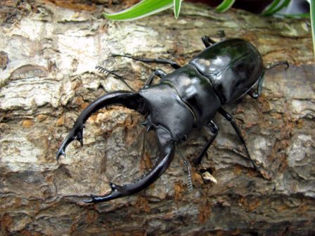 按此在新視窗瀏覽圖片