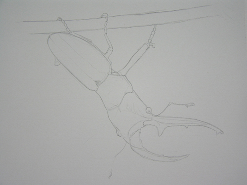 «ö¦¹¦b·sµøµ¡ÂsÄý¹Ï¤ù