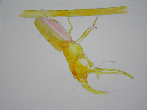 «ö¦¹¦b·sµøµ¡ÂsÄý¹Ï¤ù