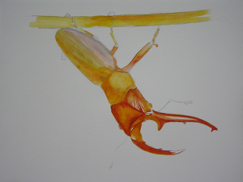 «ö¦¹¦b·sµøµ¡ÂsÄý¹Ï¤ù