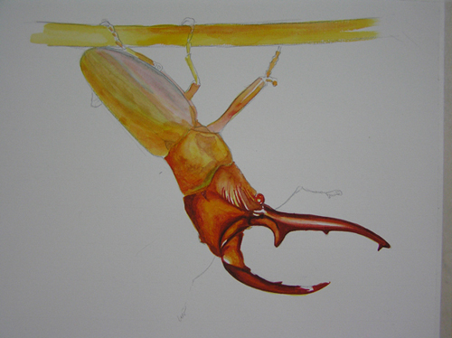 «ö¦¹¦b·sµøµ¡ÂsÄý¹Ï¤ù