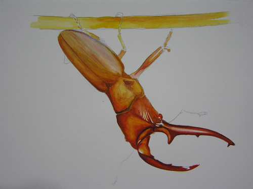 «ö¦¹¦b·sµøµ¡ÂsÄý¹Ï¤ù