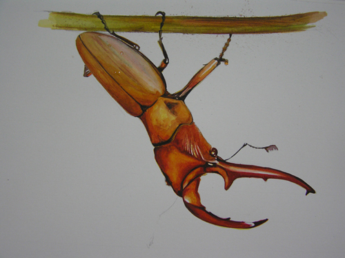 «ö¦¹¦b·sµøµ¡ÂsÄý¹Ï¤ù