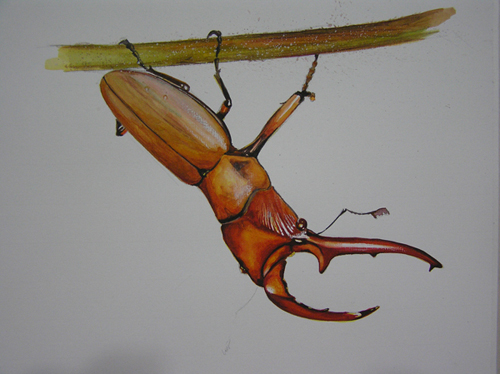 «ö¦¹¦b·sµøµ¡ÂsÄý¹Ï¤ù