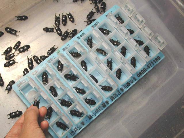 按此在新視窗瀏覽圖片