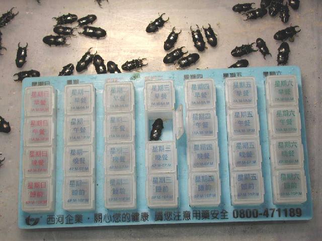 按此在新視窗瀏覽圖片