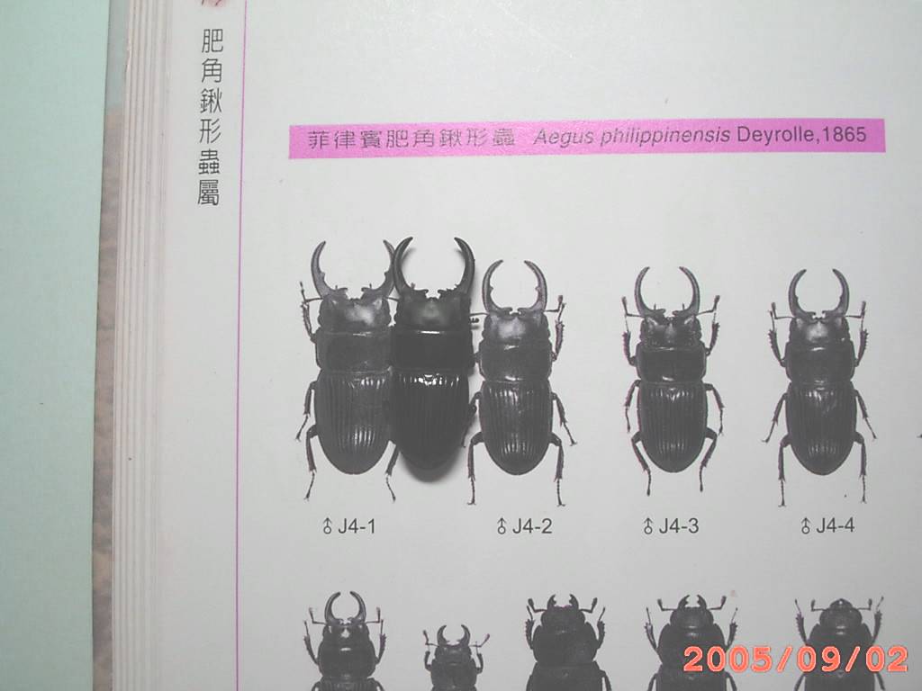 按此在新視窗瀏覽圖片