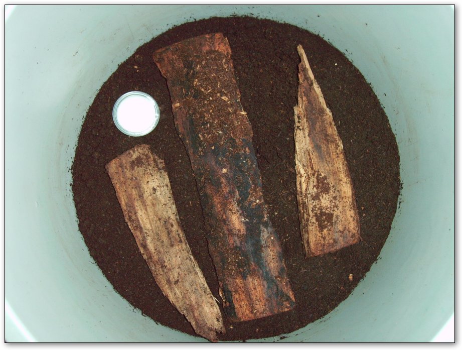 «ö¦¹¦b·sµøµ¡ÂsÄý¹Ï¤ù