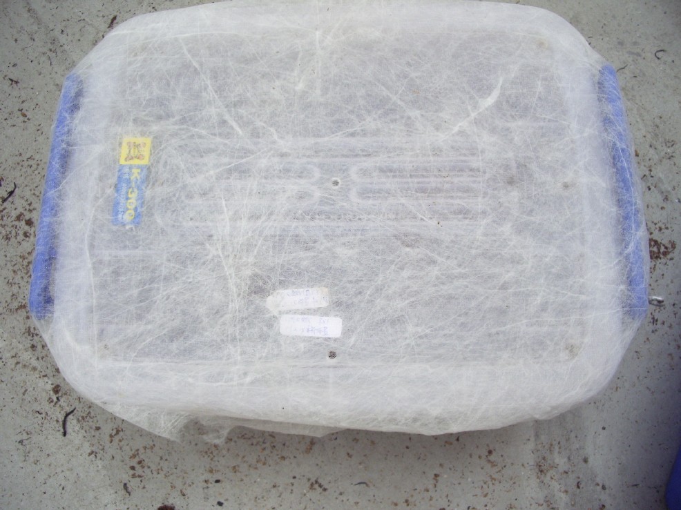 «ö¦¹¦b·sµøµ¡ÂsÄý¹Ï¤ù