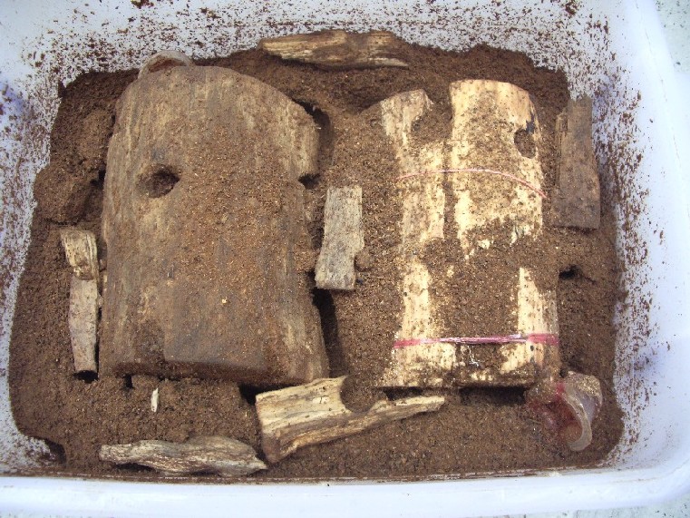 «ö¦¹¦b·sµøµ¡ÂsÄý¹Ï¤ù