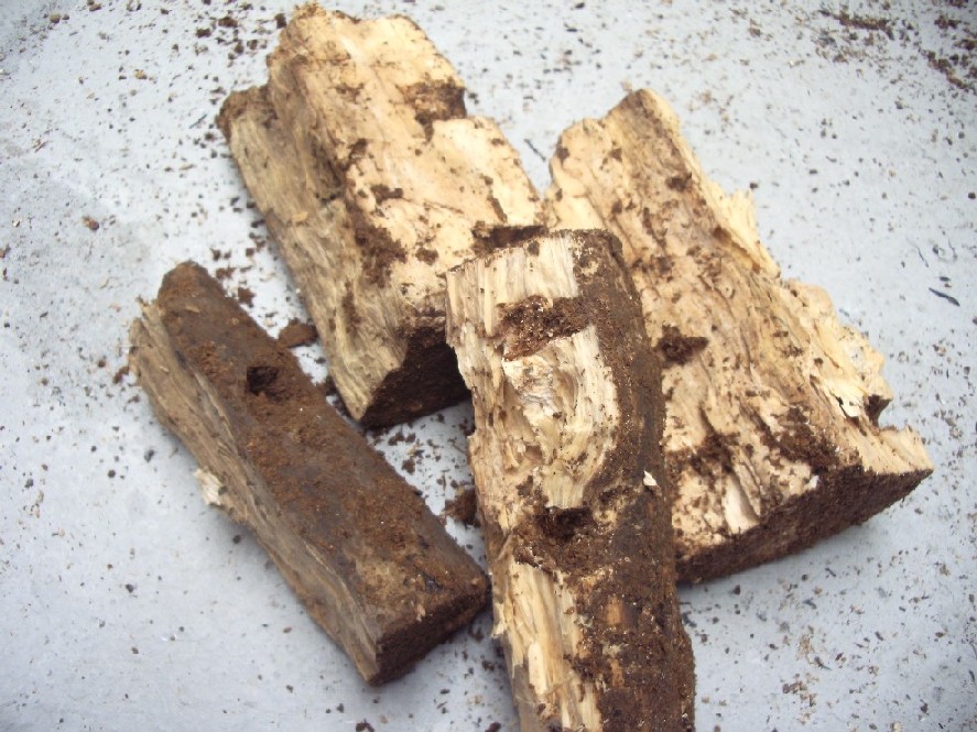 «ö¦¹¦b·sµøµ¡ÂsÄý¹Ï¤ù