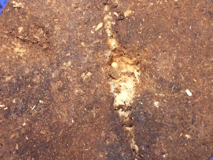 «ö¦¹¦b·sµøµ¡ÂsÄý¹Ï¤ù