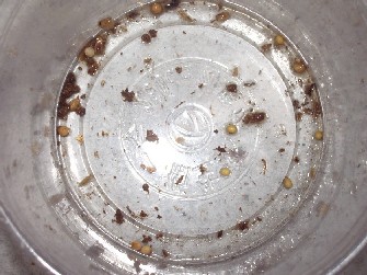 «ö¦¹¦b·sµøµ¡ÂsÄý¹Ï¤ù