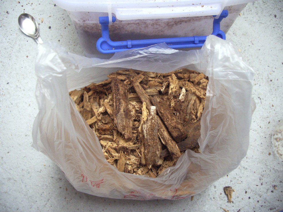 «ö¦¹¦b·sµøµ¡ÂsÄý¹Ï¤ù