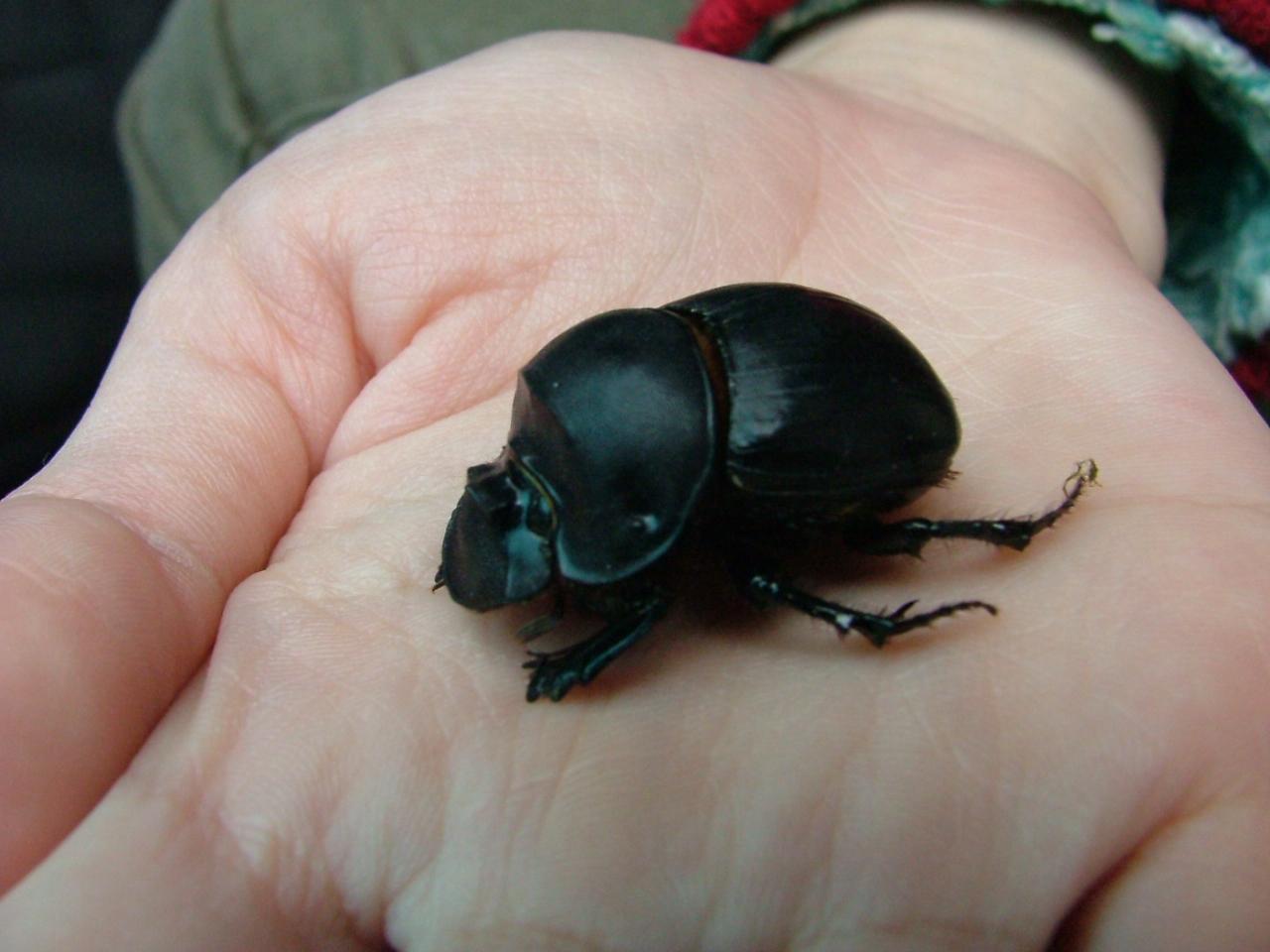 按此在新視窗瀏覽圖片