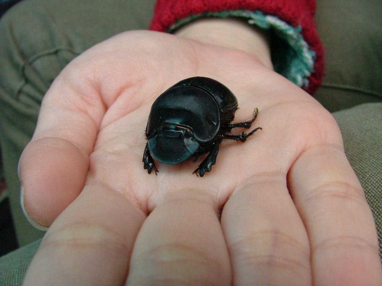 按此在新視窗瀏覽圖片