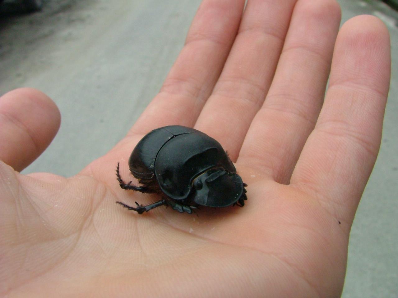 按此在新視窗瀏覽圖片