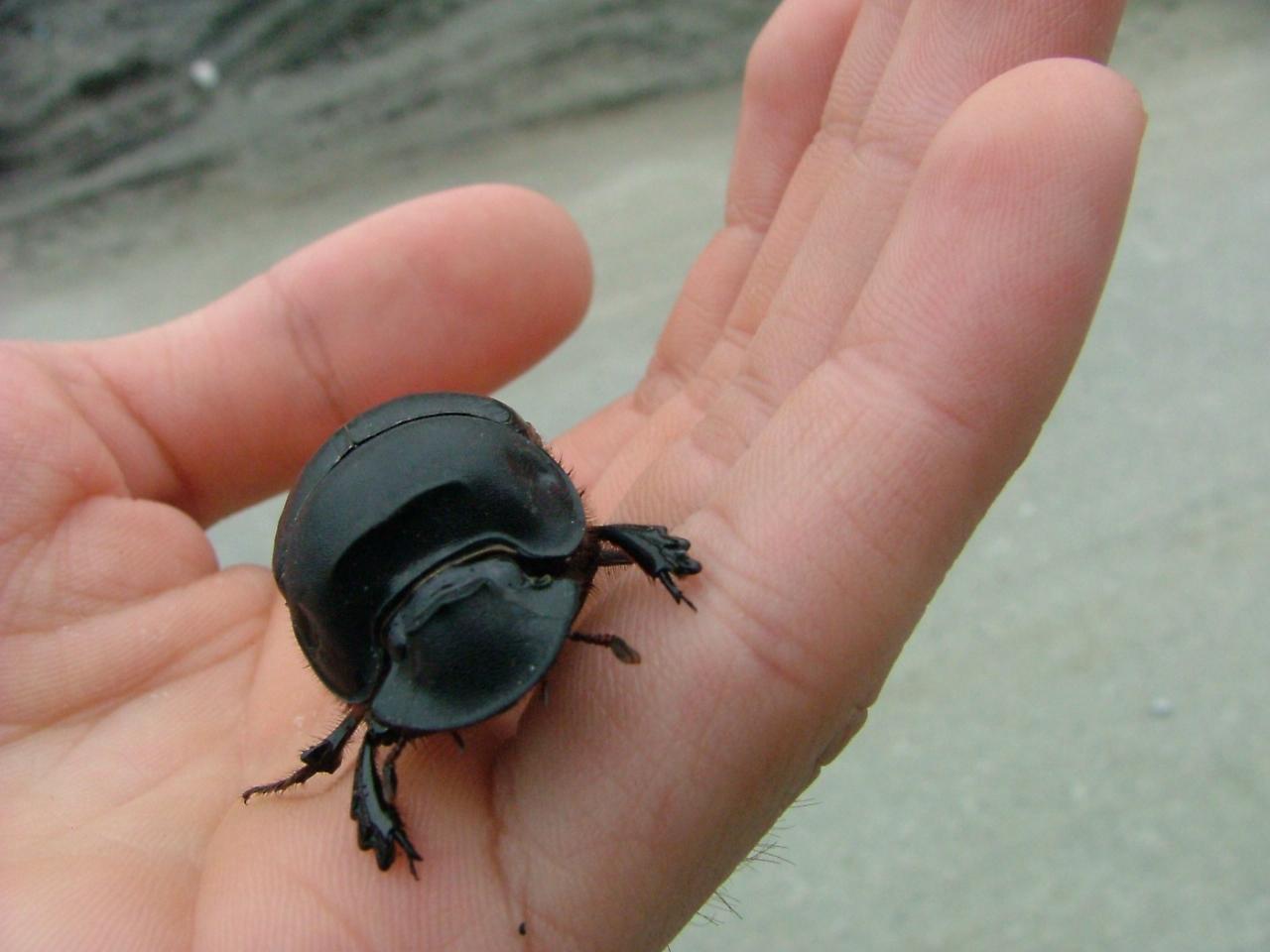 按此在新視窗瀏覽圖片