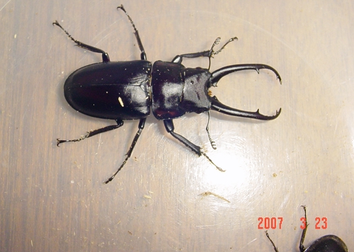 按此在新視窗瀏覽圖片