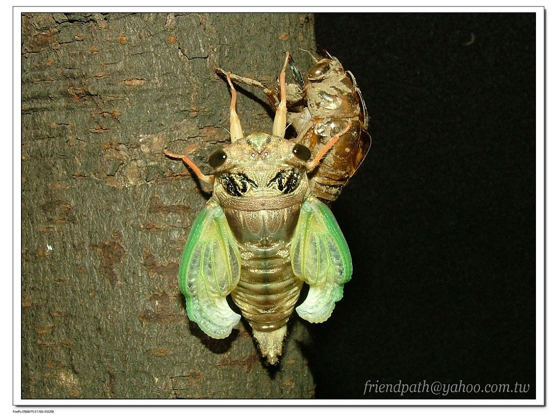按此在新視窗瀏覽圖片
