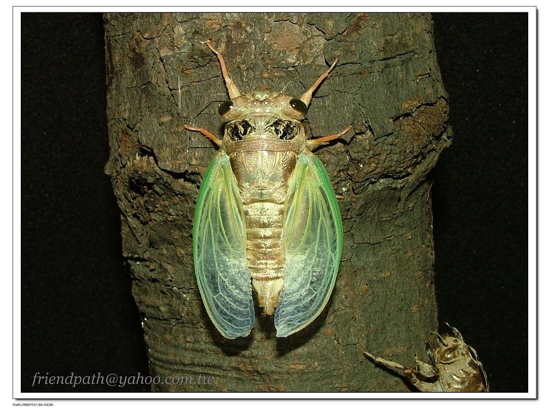 按此在新視窗瀏覽圖片