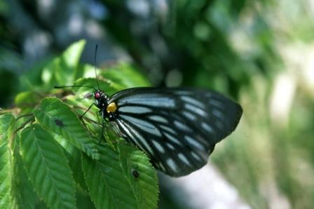 按此在新視窗瀏覽圖片