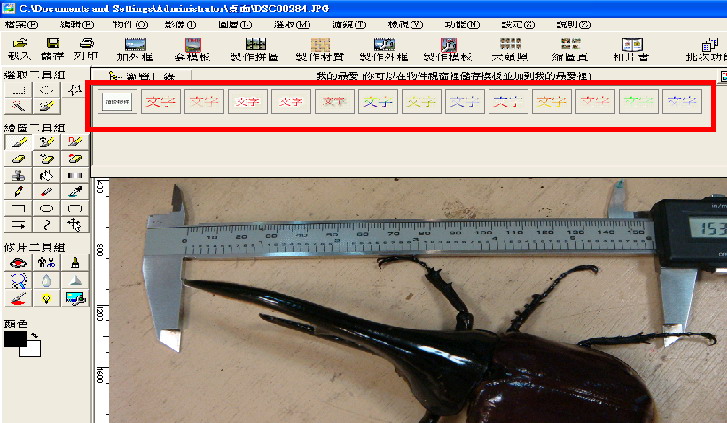 按此在新視窗瀏覽圖片