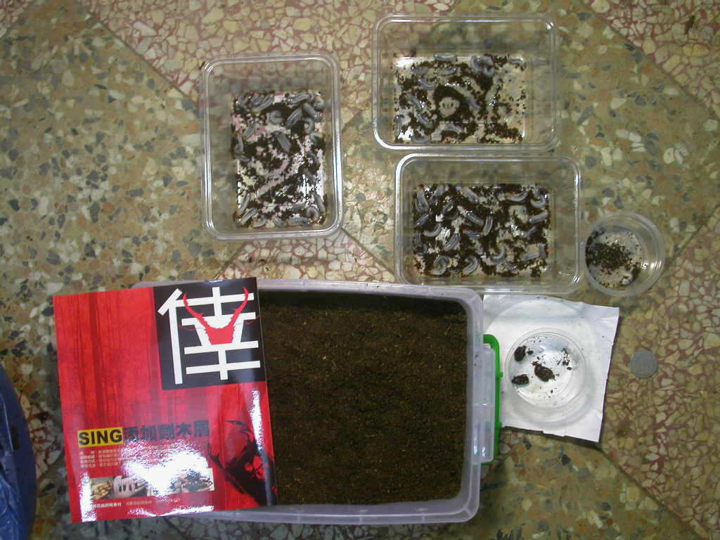 按此在新視窗瀏覽圖片