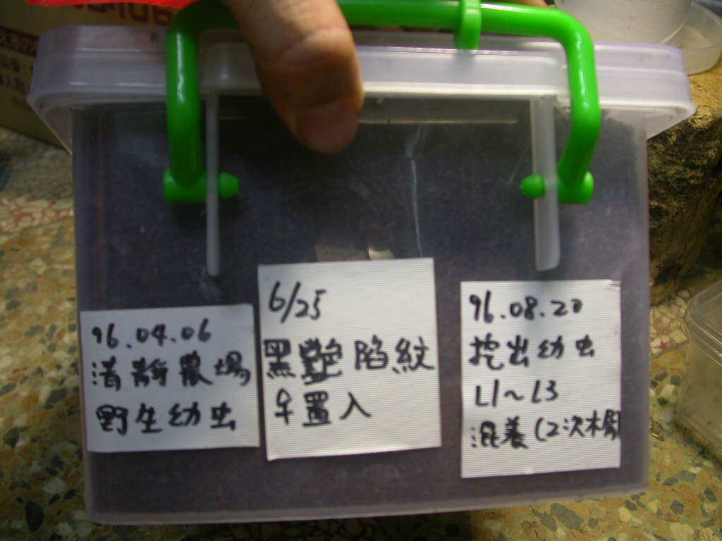 按此在新視窗瀏覽圖片