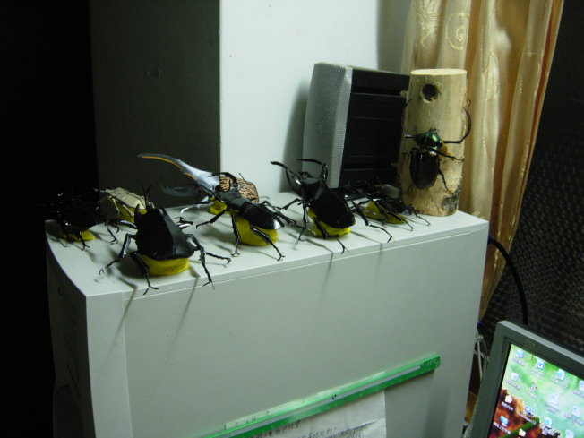 按此在新視窗瀏覽圖片