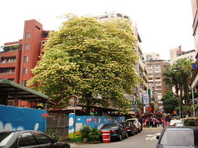 «ö¦¹¦b·sµøµ¡ÂsÄý¹Ï¤ù