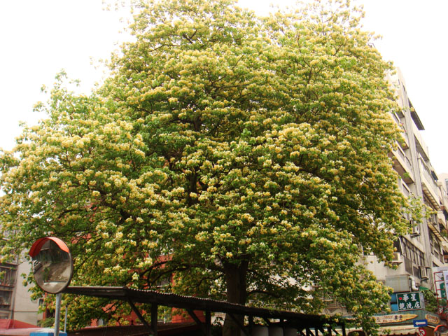 «ö¦¹¦b·sµøµ¡ÂsÄý¹Ï¤ù