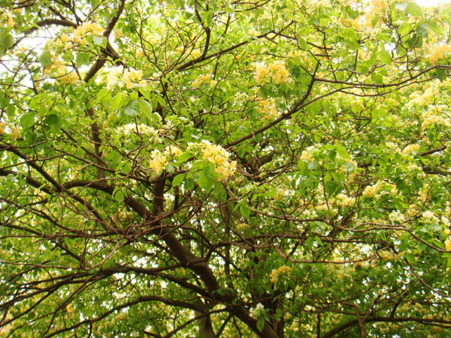 «ö¦¹¦b·sµøµ¡ÂsÄý¹Ï¤ù