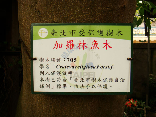 «ö¦¹¦b·sµøµ¡ÂsÄý¹Ï¤ù