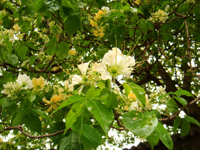 «ö¦¹¦b·sµøµ¡ÂsÄý¹Ï¤ù