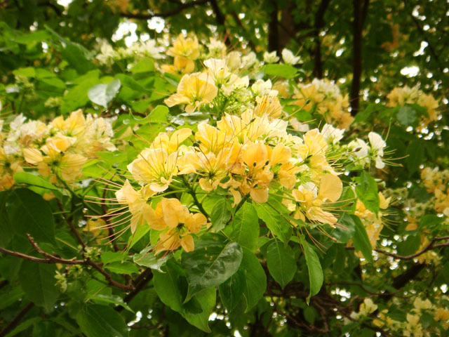 «ö¦¹¦b·sµøµ¡ÂsÄý¹Ï¤ù