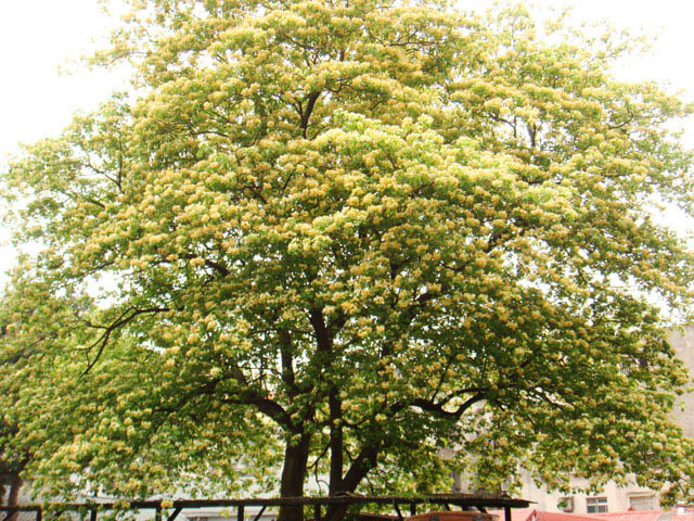 «ö¦¹¦b·sµøµ¡ÂsÄý¹Ï¤ù