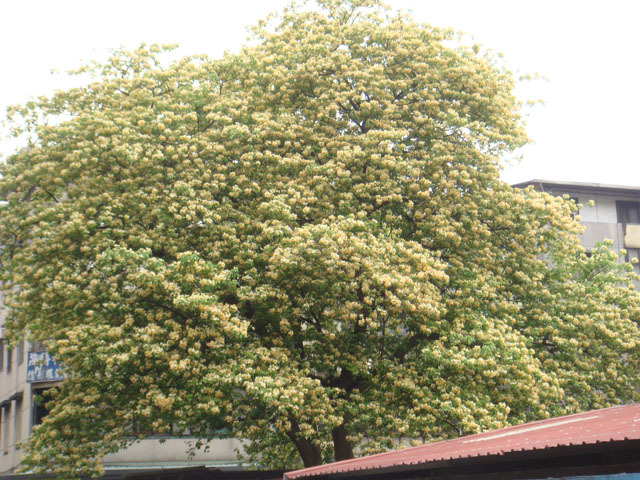 «ö¦¹¦b·sµøµ¡ÂsÄý¹Ï¤ù