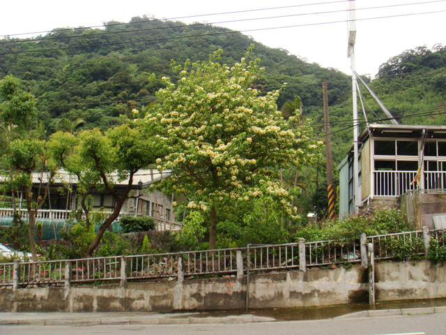 «ö¦¹¦b·sµøµ¡ÂsÄý¹Ï¤ù