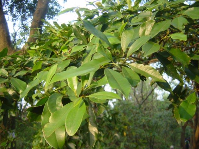 «ö¦¹¦b·sµøµ¡ÂsÄý¹Ï¤ù