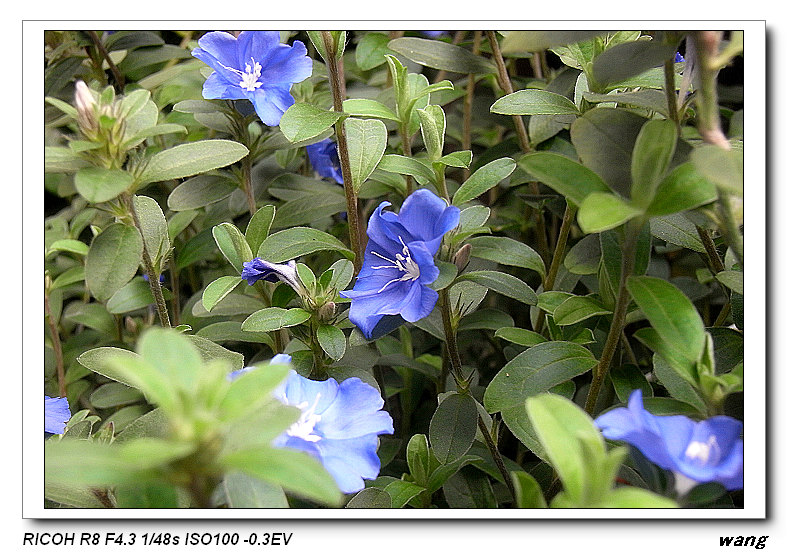 «ö¦¹¦b·sµøµ¡ÂsÄý¹Ï¤ù