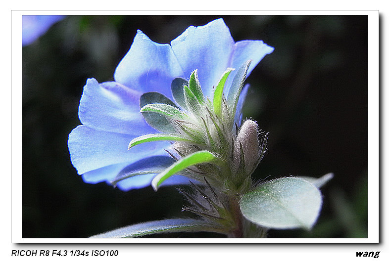 «ö¦¹¦b·sµøµ¡ÂsÄý¹Ï¤ù